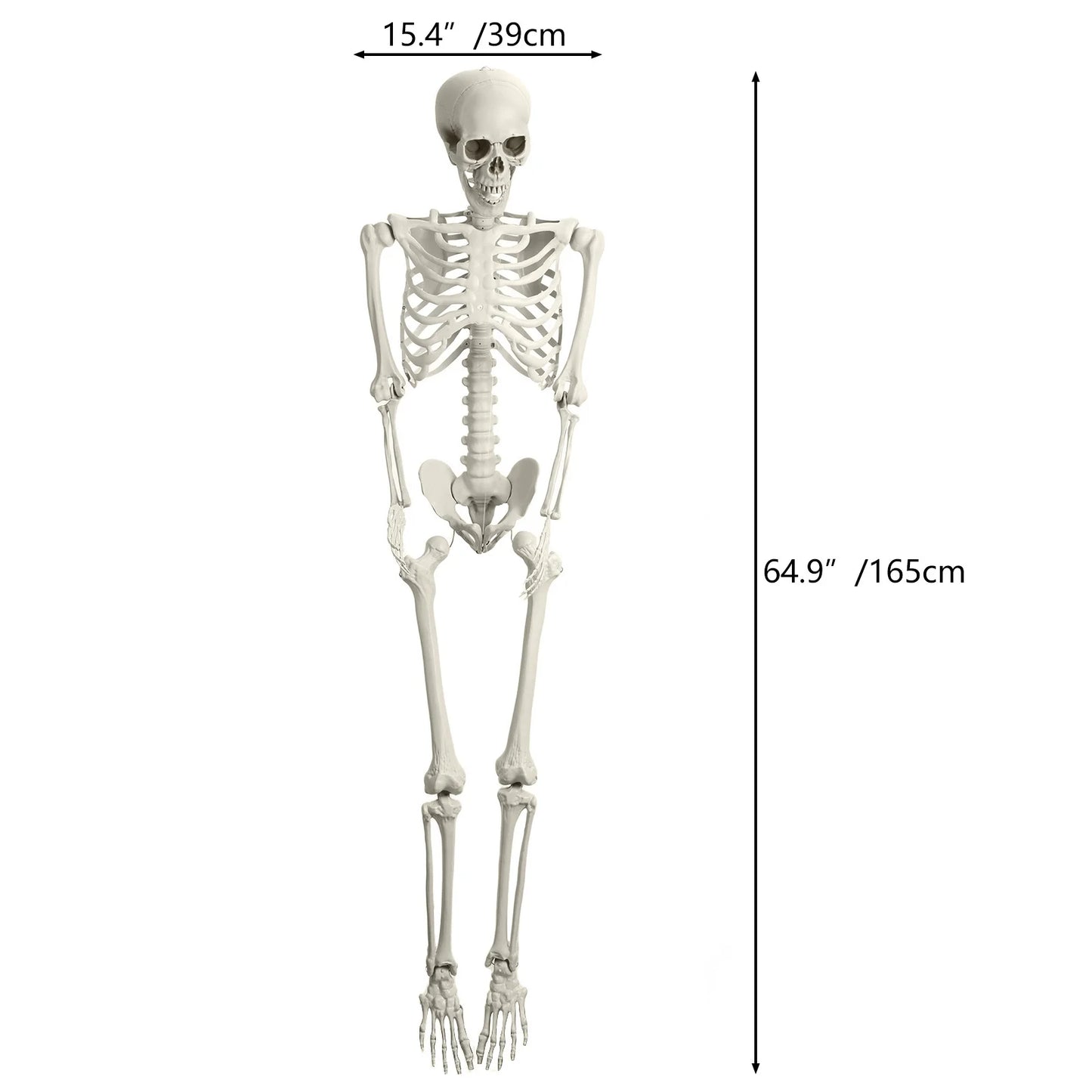 5.4FT Life-Size Light-Up Skeleton Decoration - Realistic Full Body Bones with Movable Joints and Glowing Eyes for Halloween