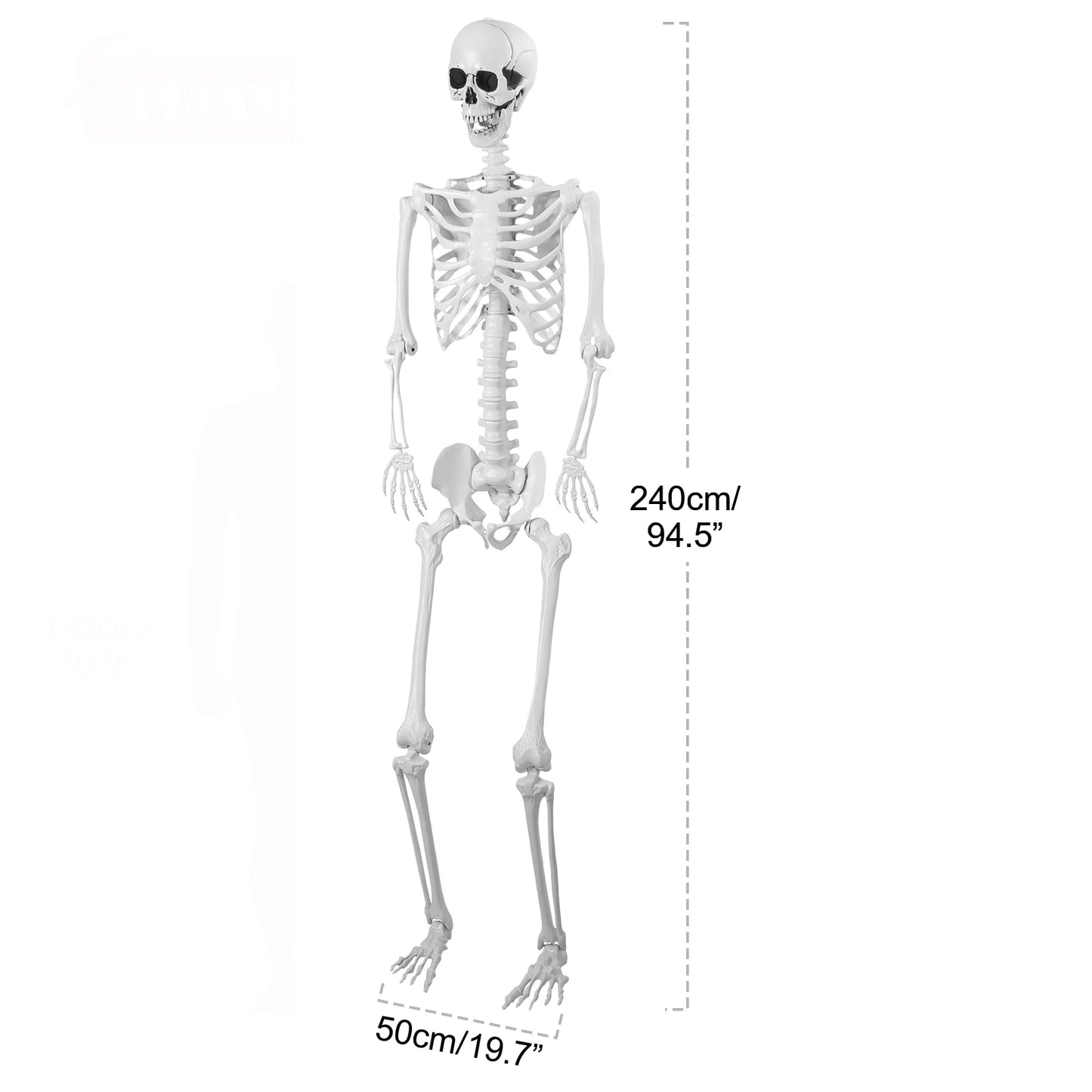 5.4FT Life-Size Light-Up Skeleton Decoration - Realistic Full Body Bones with Movable Joints and Glowing Eyes for Halloween