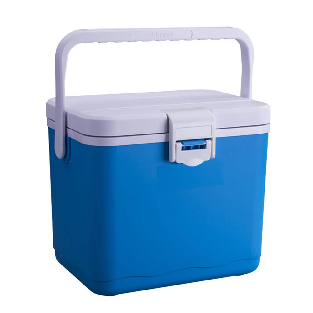 4.5L Insulated Portable Cooler with Handle Mini Freezer Fridge Heat Preservation Barbecue Insulation Box for Camping Tailgating