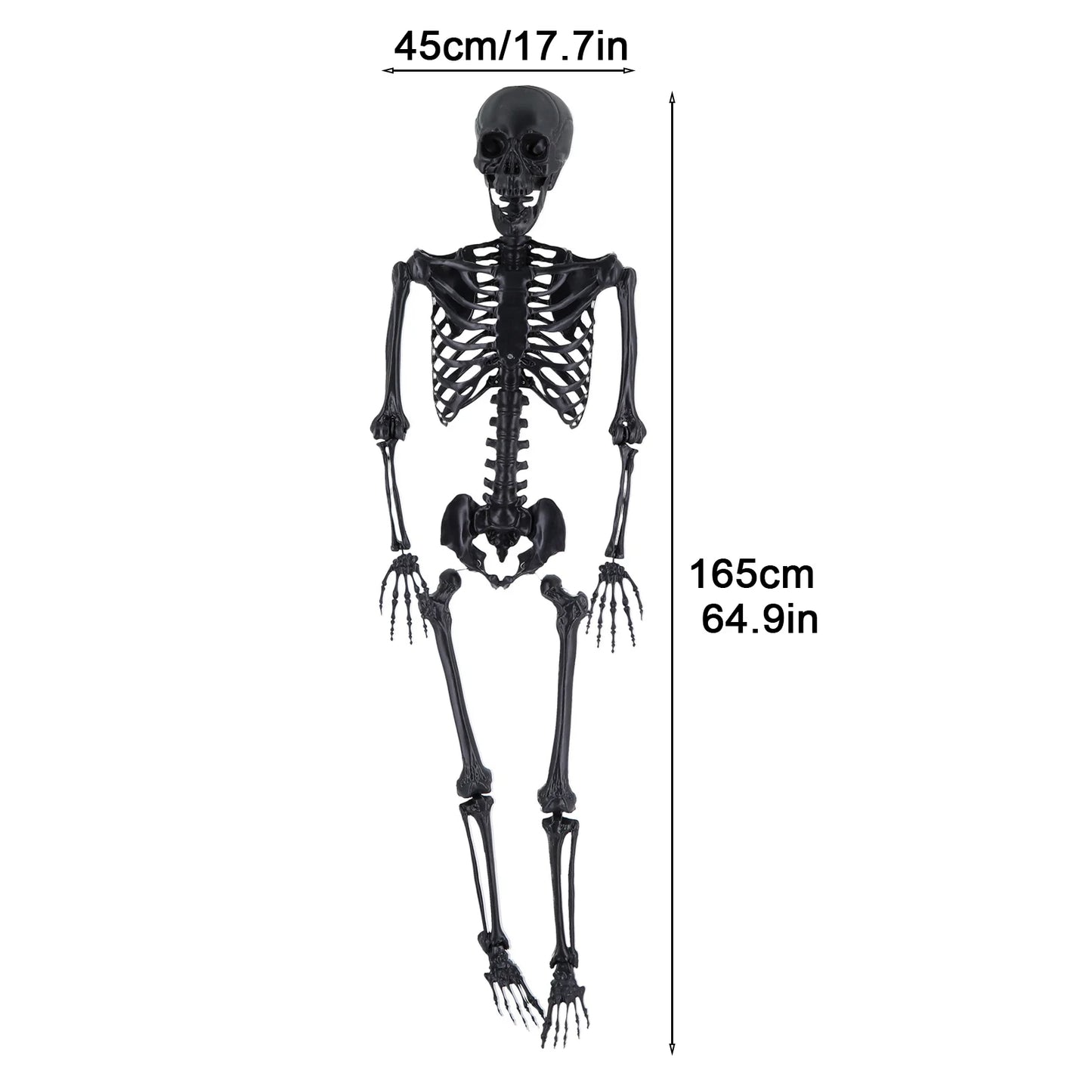 5.4FT Life-Size Light-Up Skeleton Decoration - Realistic Full Body Bones with Movable Joints and Glowing Eyes for Halloween