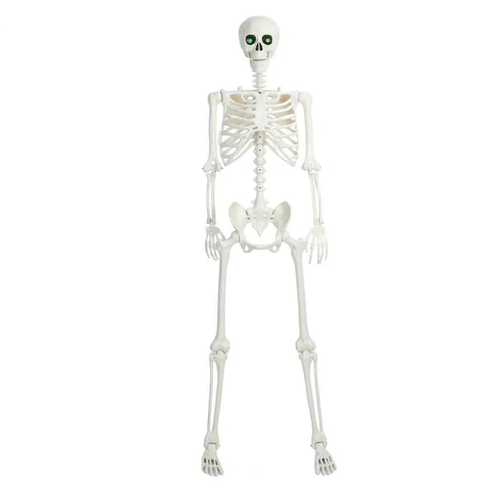5.4FT Life-Size Light-Up Skeleton Decoration - Realistic Full Body Bones with Movable Joints and Glowing Eyes for Halloween