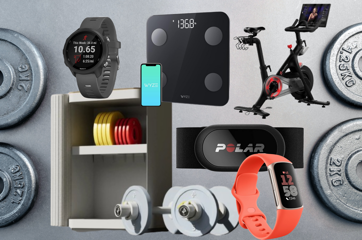 Fitness Electronics