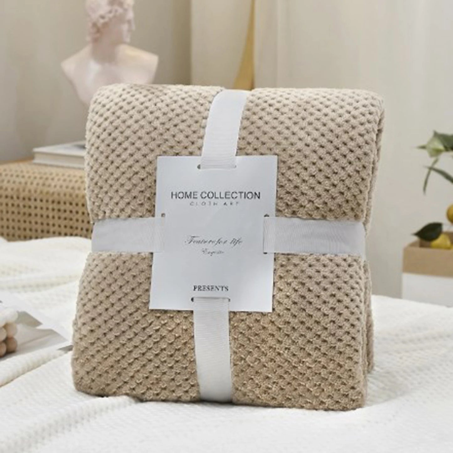 Super Soft Coral Fleece Blanket Skin-Friendly Material Hotel Throw Fluffy Blanket for Sofa Bedding Airplane